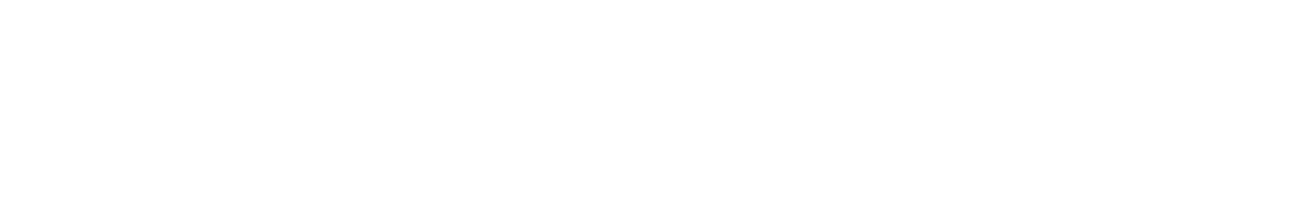 shopify 1